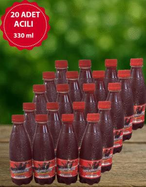 24 adet acısız 330 ml şalgam